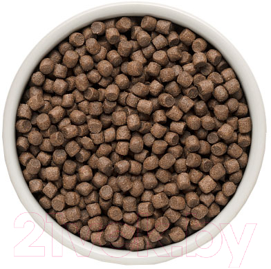 Сухой корм для собак Grandorf Dog 4 Meat Probiotic Mini Breeds (8кг) — фото 2