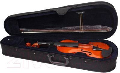 Скрипка Aileen VG001-HP 1/2 со смычком в футляре