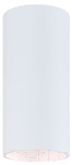 Потолочный светильник Elektrostandard Diffe 85580/01 (белый)