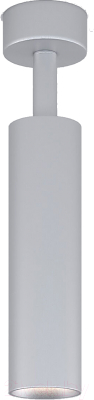 Точечный светильник Elektrostandard Diffe 85239/01 (серебристый)