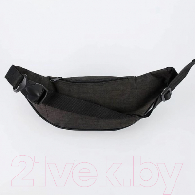 Сумка на пояс Ecotope 022-22-85-E-BLK (черный)