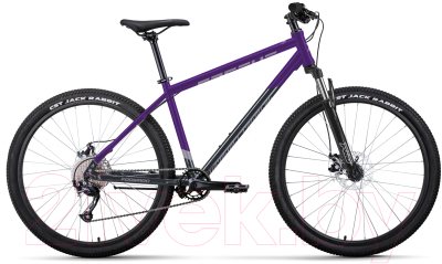 Велосипед Forward Apache 29 2.0 2023 / RB3F980D8XVTDGY (17, фиолетовый/темно-серый)