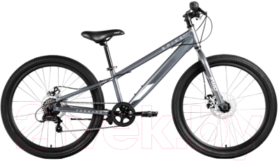 Велосипед Forward Spike 24 D 2023 / IB3F47133XGYXSR (серый/серебристый)
