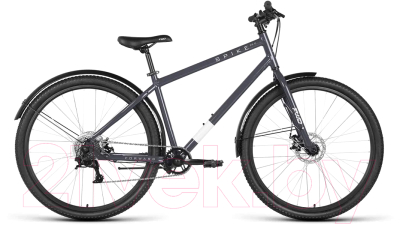 Велосипед Forward Spike 29 D 2023 / IB3F98135XGYXSR (серый/серебристый)