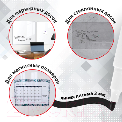 Набор маркеров Brauberg Line / 880743 (12шт)