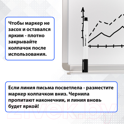 Набор маркеров Brauberg Line / 880743 (12шт)