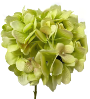 Искусственный цветок Артфлора Гортензия / 110035 (зеленый) - 