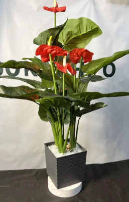 Искусственное растение Артфлора Антуриум h95 / 104005 (красный)