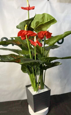 Искусственное растение Артфлора Антуриум h95 / 104005 (красный)