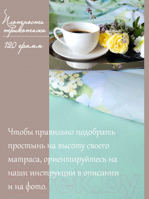 Простыня Luxsonia Трикотаж на резинке 200x200 / Мр0010-12 (ментоловый)