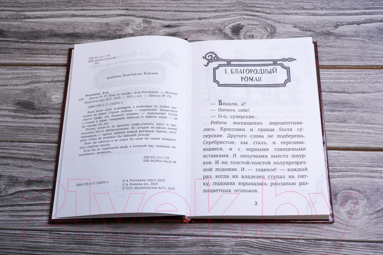 Художественная книга АСТ Школа №13. Тень из шкафа (Рогожина А.) — фото 5