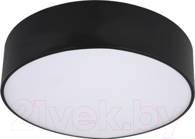 Потолочный светильник Kinklight Медина 05525.19 (черный)