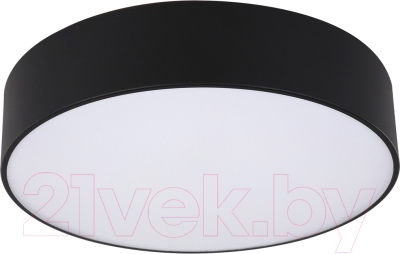 Потолочный светильник Kinklight Медина 05530.19 (черный)