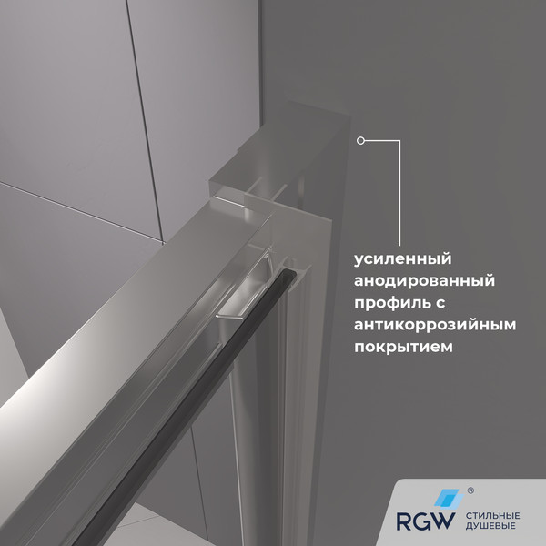 Купить Душевая дверь RGW CL-111 / 410911109-11 в Могилеве