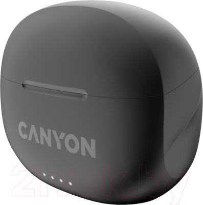 Беспроводные наушники Canyon TWS-8 / CNS-TWS8B