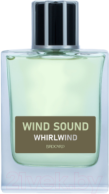 Туалетная вода Brocard Wind Sound Whirlwind (100мл)