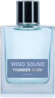 Туалетная вода Brocard Wind Sound Thunder Snow (100мл) - 