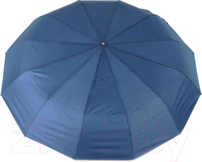 Зонт складной Rain Berry 734-31203 (синий)