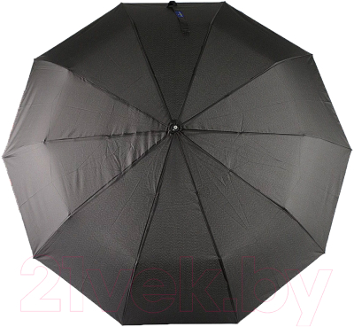 Зонт складной Rain Berry 734-5810N (черный)