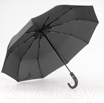 Зонт складной Rain Berry 734-5810N (черный)