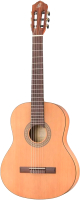 Акустическая гитара Ortega RSTC5M - 