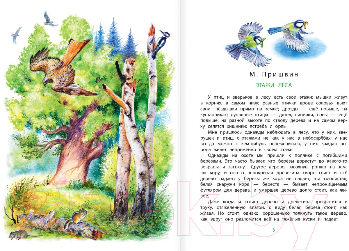 Художественная книга АСТ Рассказы о животных (Сладков Н.И., Пришвин М.М.) — фото 3