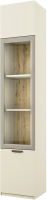 Шкаф-пенал с витриной Anrex Modern 1V2D (персидский жемчуг/игристый ликер) - 