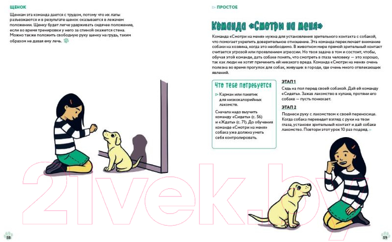 Нехудожественная книга Эксмо Твоя собака. Воспитание и тренировка (Ванесса Эстрада Марин) — фото 6