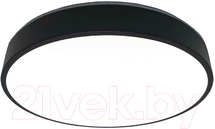 Потолочный светильник Mirastyle SL-41048/500-80W BK
