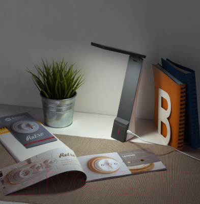 Настольная лампа Евросвет Desk TL90450 (белый/серый)