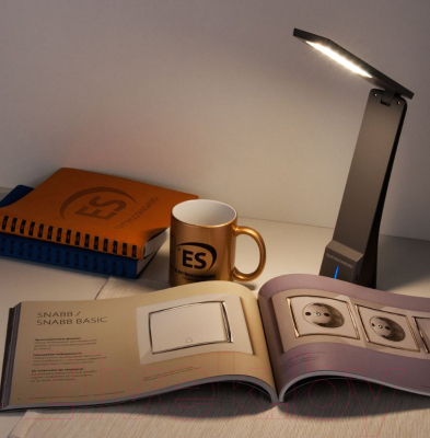 Настольная лампа Евросвет Desk TL90450 (черный/серый)