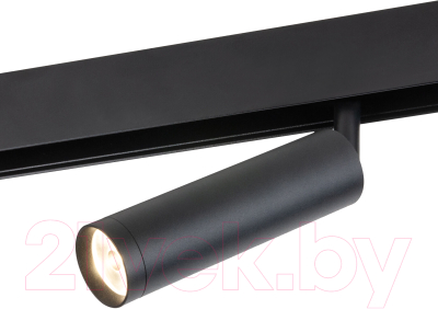 Трековый светильник Elektrostandard Porte 85508/01