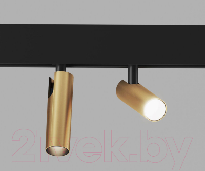 Трековый светильник Elektrostandard Dual 85046/01