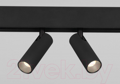 Трековый светильник Elektrostandard Dual 85046/01
