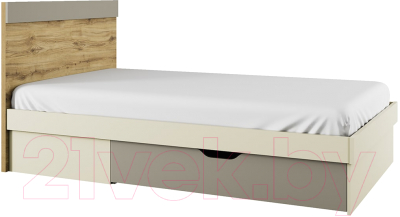 Полуторная кровать Anrex Modern 120 S (персидский жемчуг/ирландский ликер)