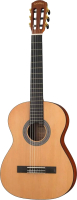 Акустическая гитара Cascha Student Series HH-2351 (с чехлом, натуральный) - 