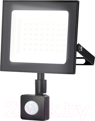 Изображение товара Прожектор Ambrella ST8115 (черный)