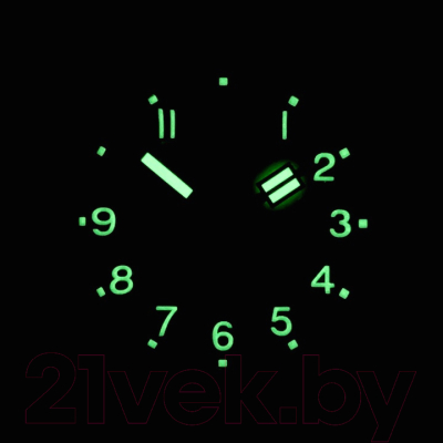 Часы наручные мужские Восток 72095А
