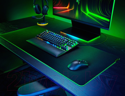 Мышь Razer Viper V2 Pro / RZ01-04390100-R3G1 (черный)