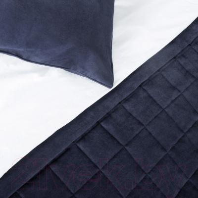 Набор текстиля для спальни Pasionaria Софт 160x220 с наволочками (синий)