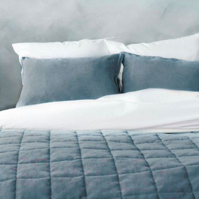 Набор текстиля для спальни Pasionaria Софт 160x220 с наволочками (голубой)