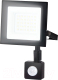 Миниатюра изображения товара Прожектор Ambrella ST8113 (черный)