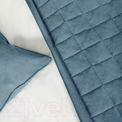 Набор текстиля для спальни Pasionaria Софт 250x270 с наволочками (голубой)