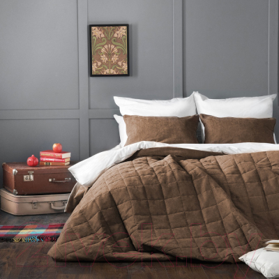 Набор текстиля для спальни Pasionaria Софт 250x270 с наволочками (коричневый)