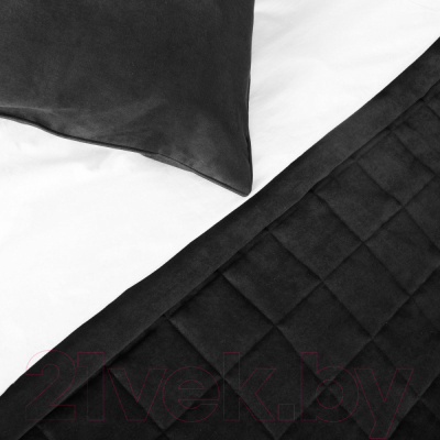 Набор текстиля для спальни Pasionaria Софт 250x270 с наволочками (черный)