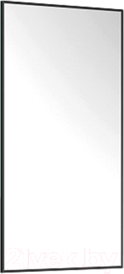 Зеркало Belux Эко 40x80 (19, черный матовый)