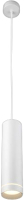 Потолочный светильник Elektrostandard DLR023 IP54 / 35084/H (белый) - 