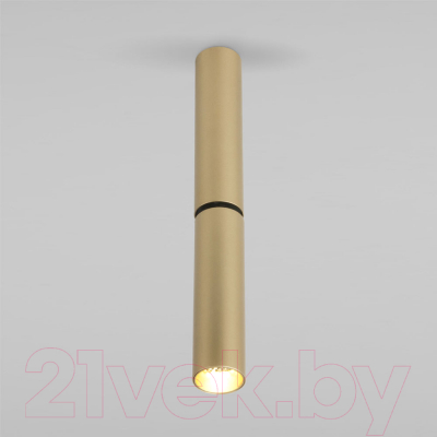 Точечный светильник Elektrostandard Pika 6W / 25029/LED (золото)