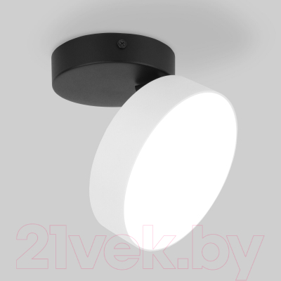 Потолочный светильник Elektrostandard Pila 12W 4200К / 25135/LED (белый)