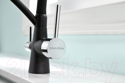 Изображение товара Смеситель Paulmark Siegen Si213111-308